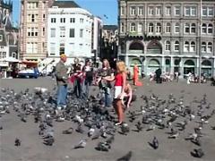 Sexy Blonde Dutch Girl Flashing Her Boobies In Amsterdam