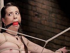Freya French In Tight Rope Bondage Made To Orgasm With Vibra...