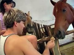 Hard Anal Teen Asshole Pounding Between The Watching Horses