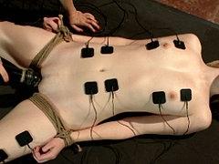 Dolly Leigh Is Bound And Electro Toy Fucked By Lezdom Aiden ...